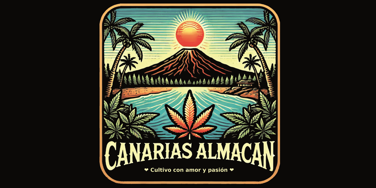 Canarias Almacan – Nachhaltiger Bio-Hanf aus Teneriffa | „Wir bauen ...