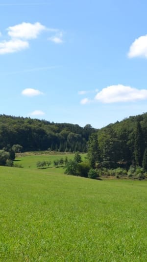 Solawi Gärtnerei Hof Woeste