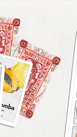 Bing({\'})h – Das Vulva Bingo Game Vol. 0