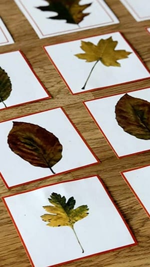 Montessori für Alle #DIGITAL