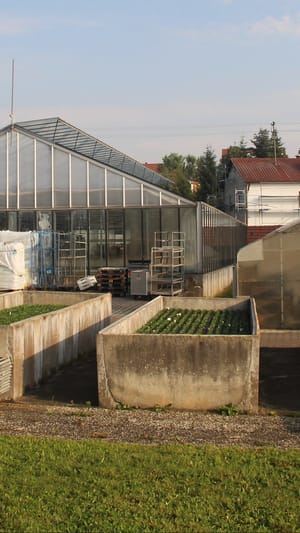 Aquaponik-Profis-Mainburg