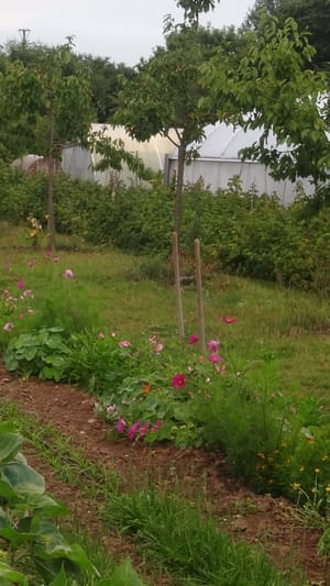 Großer Waldgarten Rehfelde - Pilotprojekt