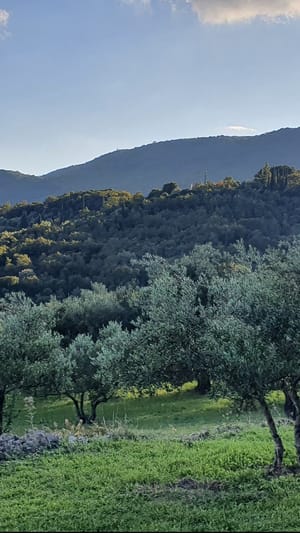 Pouli - Mal anders in Öl investieren.