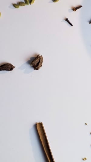 Konsum kann auch Gutes bewirken - LYN\'S