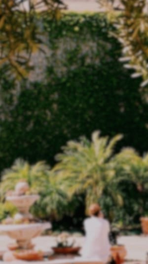 djoon Dattelpralinen. Natürlich. Nachhaltig. Lecker!