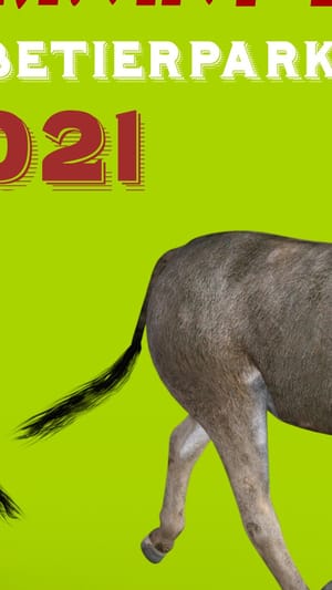 Sachsenkellerkonzerte in der Hebelei