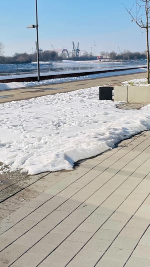 back2 the roots - Unverpackt