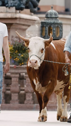 Münchner Käse Manufaktur
