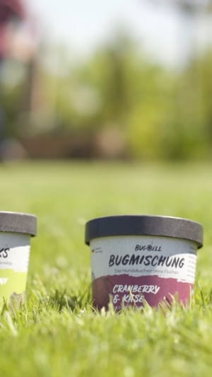 BugBell | Das Hundefutter mit viel Brumms