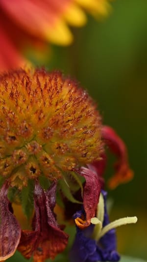 Impressionen des Alterns