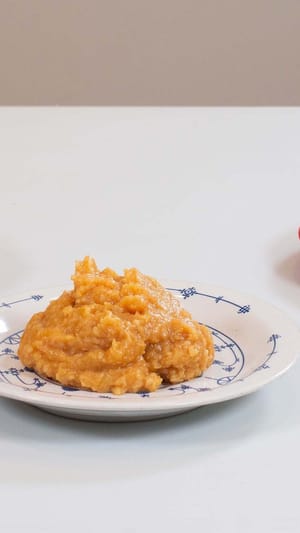 umami ferment  -  Tempeh, Miso, Kimchi & Co