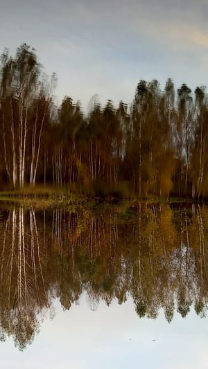 Bau eines Seminar- und Bildungshauses Schenkgemeinschaft 2