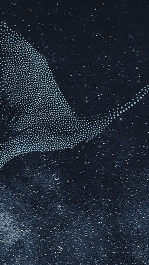 ORIOM - Sterne tanzen!