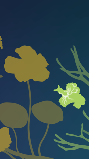 M*Einladung - knorke Wochenkalender