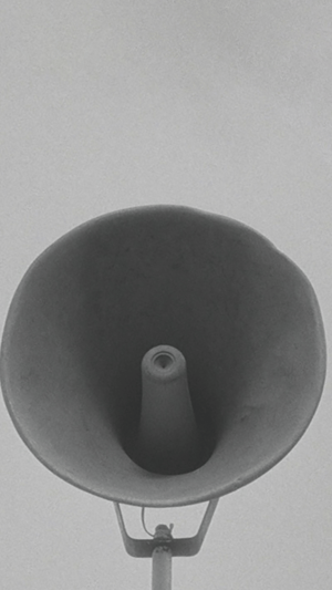 Ab Morgen Tragen Alle Blau