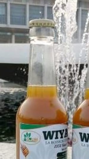 Wiyao Erfrischendes Kurkuma- BioGetränk