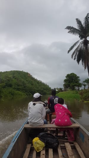 Handgefertigte Moringa-Seife von angolanischen Frauen