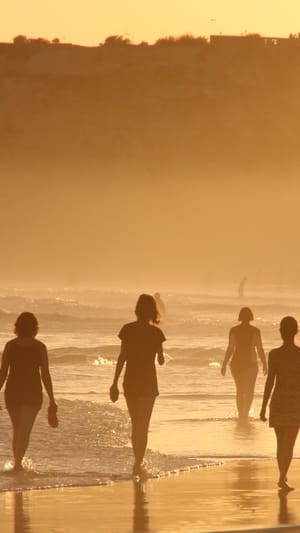 Übergangsmensch (AT)