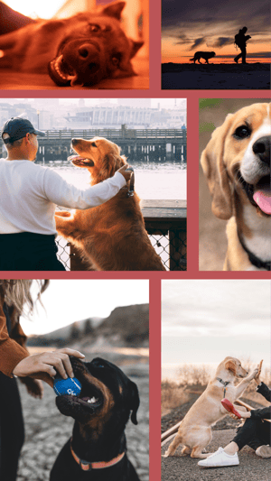 Petch - the perfect match!