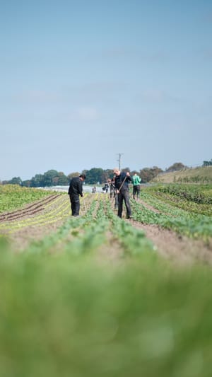 Hof Medewege-Gärtnerei wird  Genossenschaft