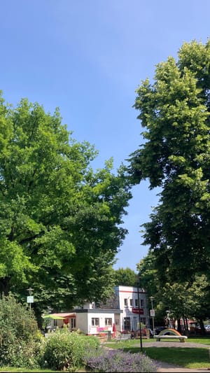 Rettet das Café Mundial!