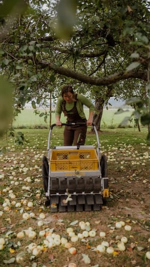 RETTET DIE OBSTRAUPE