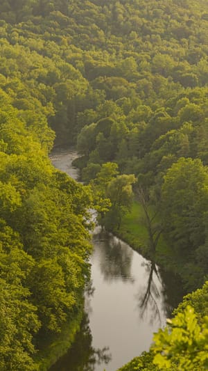 Die Stimme der Thaya -  Geschichten einer Flusslandschaft