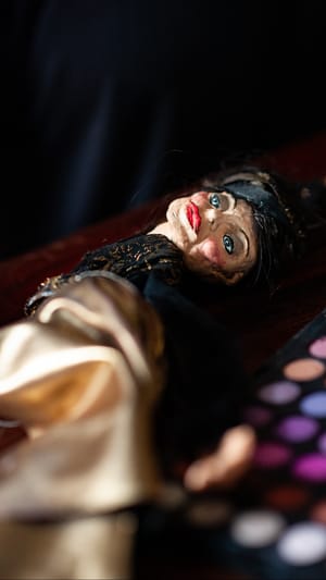 Die Katze von Kampen