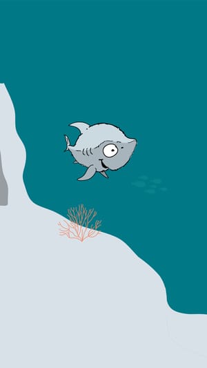 "Der weiche Hai" Kinderbuch