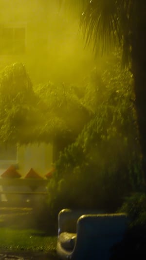 Mehr Grün in Städten:  Komm mit auf eine Reise in unbekannte Stadtgärten