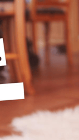 Flugkraft - Die Dokumentation