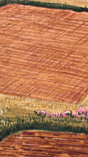 Datierungen eisenzeitlicher Feldfluren in Schleswig-Holstein