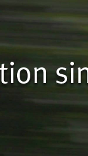 vierte generation singular perfekt