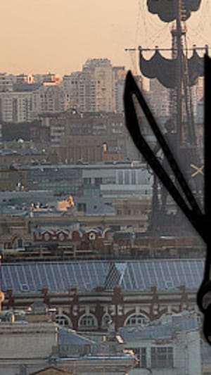 Auf der Suche nach Ringo