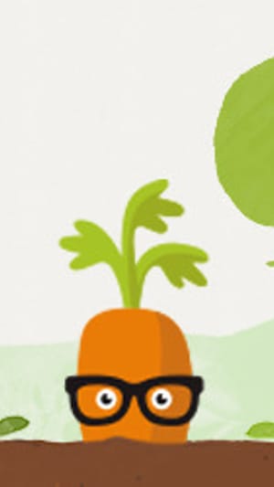 GemüseAckerdemie - Ackern schafft Wissen