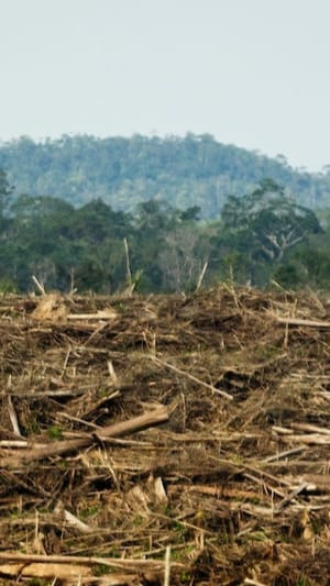 Was bedeutet Widerstand gegen Landinvestitionen für Friedensprozesse?