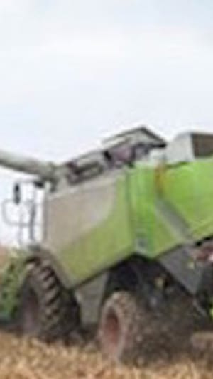 Wie die Landwirtschaft die Artenvielfalt bedroht