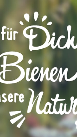 nearBees – Next door honey