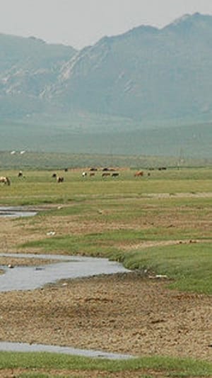 Ein mongolischer Road Trip