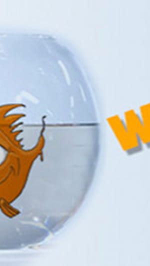 Werde Frischwasserspender - Sauberes Wasser für unsere Umwelt