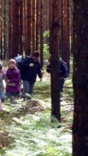 Schule im Wald - Patenförsterprojekt