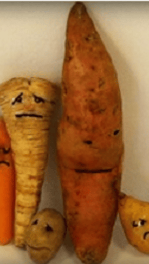 VeggieMat-2. Chance für verschmähtes Obst & Gemüse