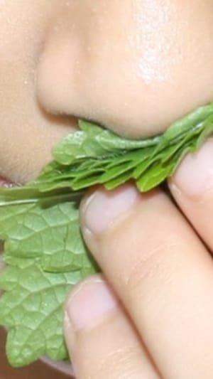 Mobile Seelengärten für Geflüchtete in Berlin