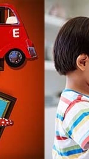 DAS ELEKTROAUTO PROJEKT