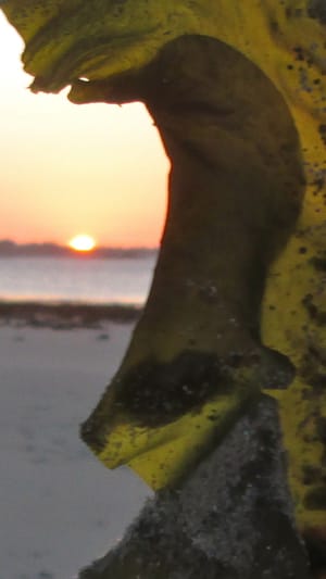 Sushi in Sachsen - Meersalat in der Bretagne 
