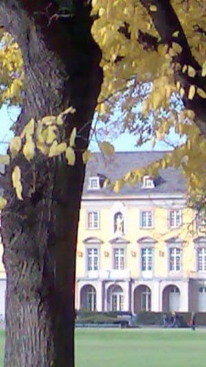 Schwärmzeit hoch 4 !