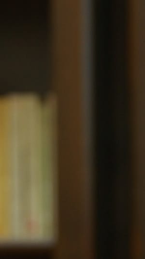 Polylogue - Internationaler Buchladen & Café