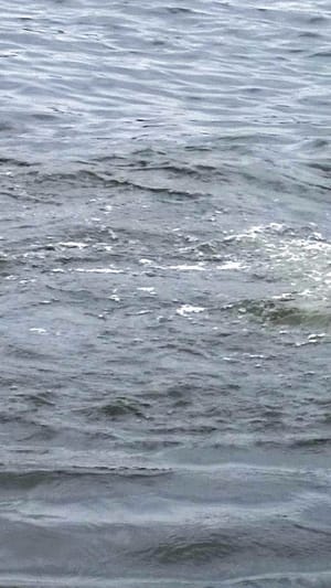 Puya - Postproduktion 