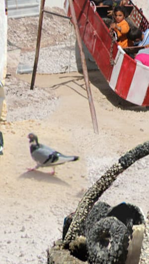 Low Tech Design für jordanisches Flüchtlingslager