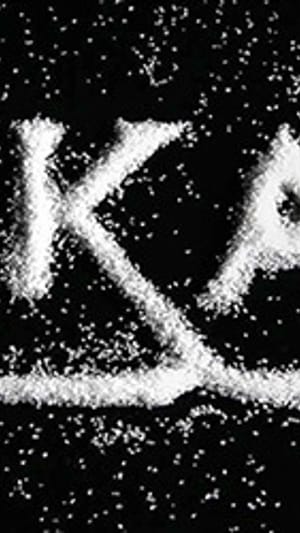 Firas Alshater: ZUKAR VIDEOS FÜR DEUTSCHLAND